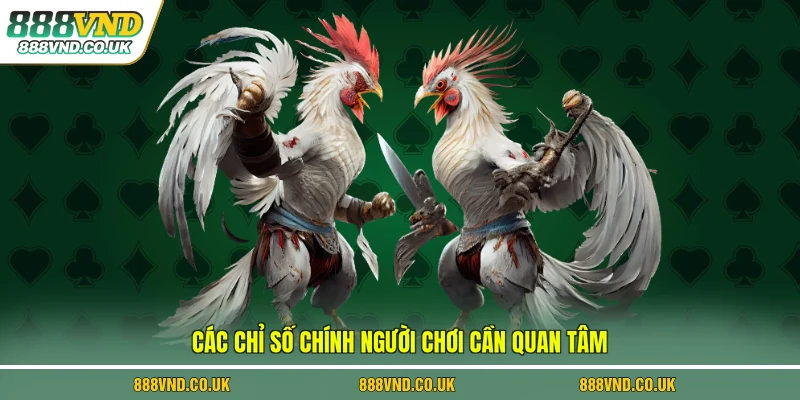 Các chỉ số chính người chơi cần quan tâm