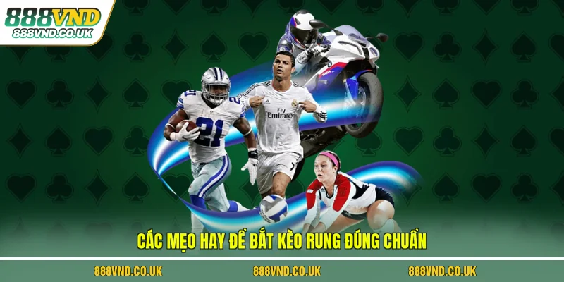 Các mẹo hay để bắt kèo rung đúng chuẩn