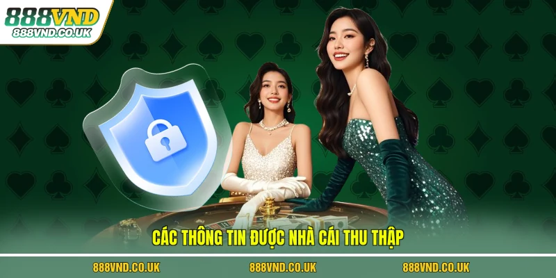 Các thông tin được nhà cái thu thập