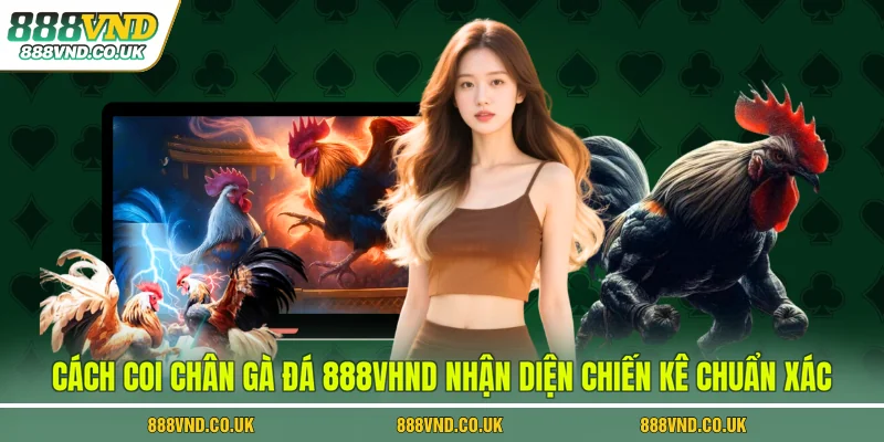 cách coi chân gà đá