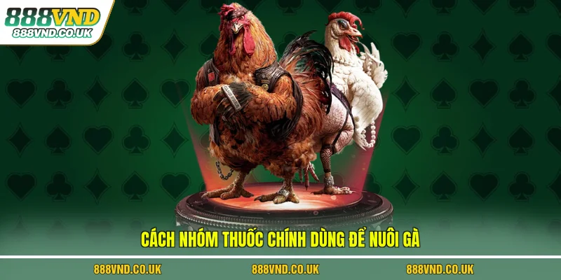 Cách nhóm thuốc chính dùng để nuôi gà