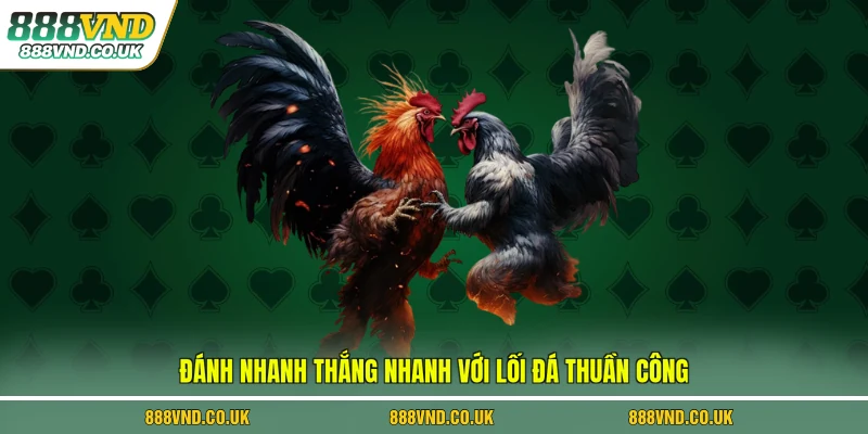 Đánh nhanh thắng nhanh với lối đá thuần công