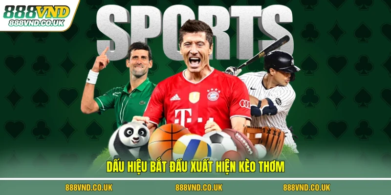 Dấu hiệu bắt đầu xuất hiện kèo thơm