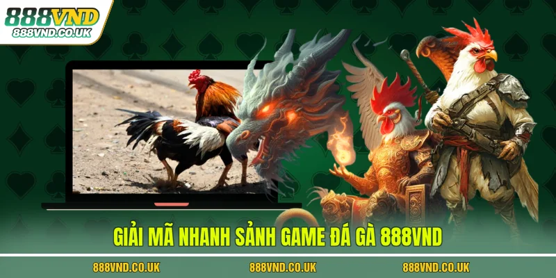 Giải mã nhanh sảnh game đá gà 888VND