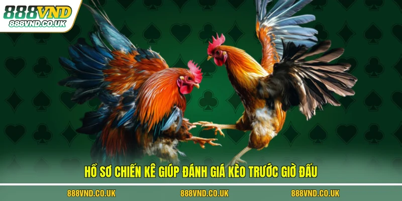 Hồ sơ chiến kê giúp đánh giá kèo trước giờ đấu