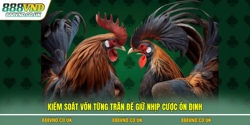 Kiểm soát vốn từng trận để giữ nhịp cược ổn định