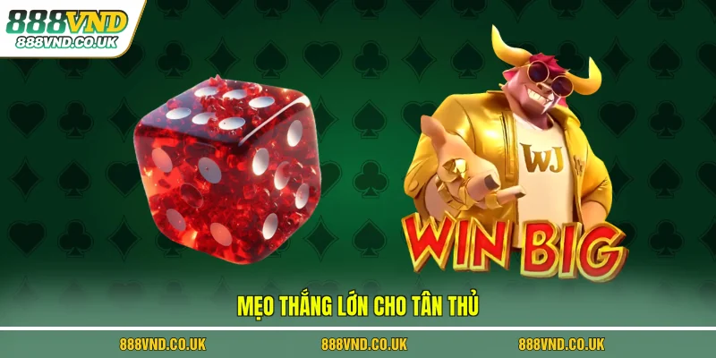 Mẹo thắng lớn cho tân thủ