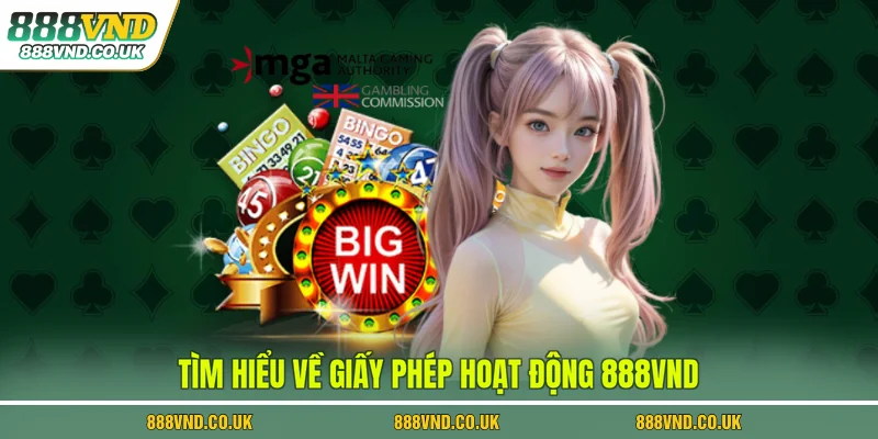 Tìm hiểu về giấy phép hoạt động 888VND